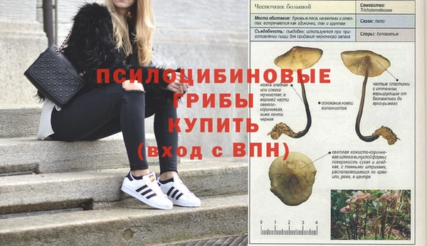 экстази Рославль