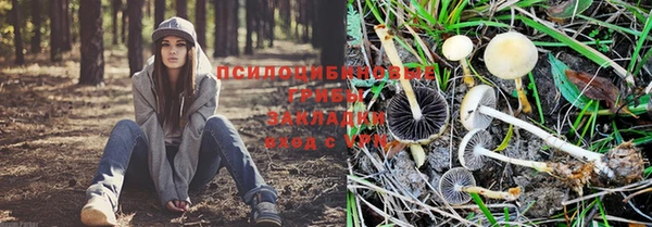 MDMA Premium VHQ Приозерск
