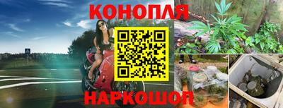 МДПВ Можга