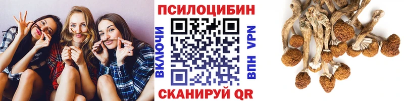 Галлюциногенные грибы Psilocybine cubensis  Волоколамск 