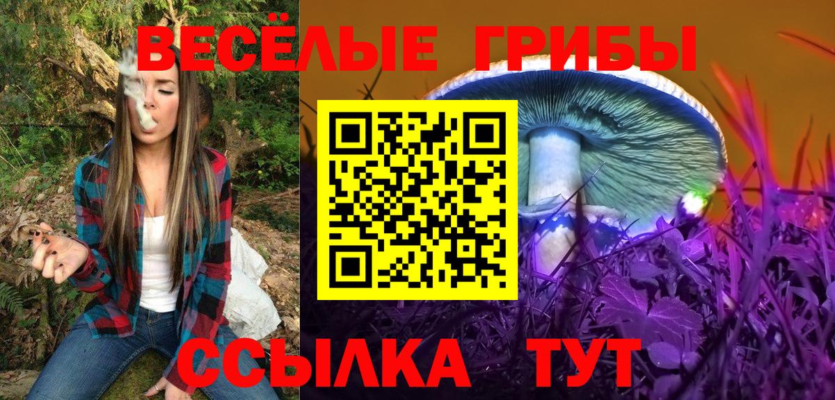 Волоколамск  Псилоцибиновые грибы Magic Shrooms  Вход с VPN 