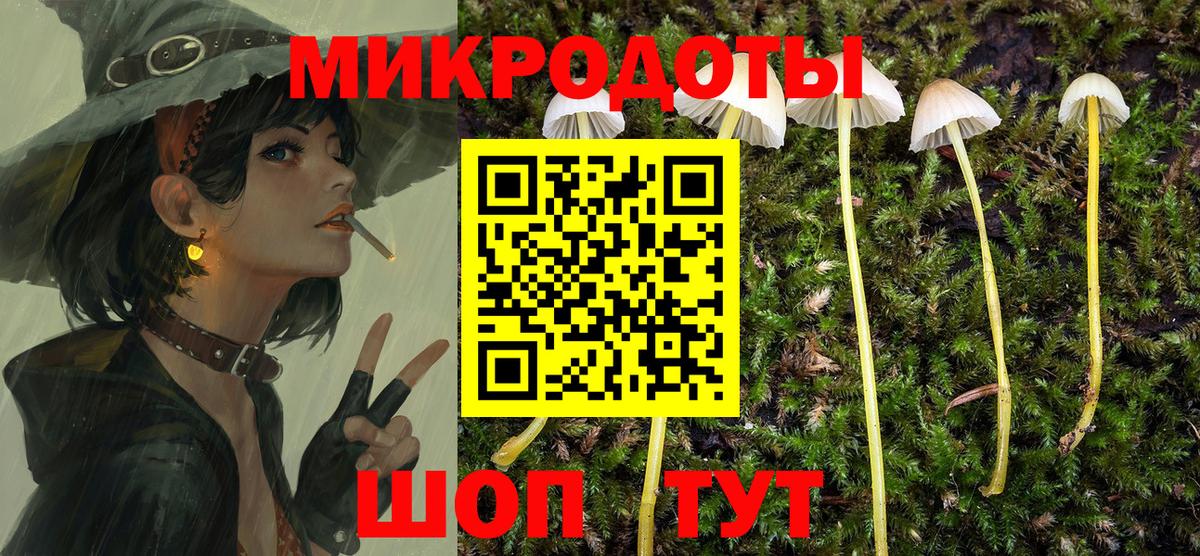 Псилоцибиновые грибы прущие грибы Волоколамск
